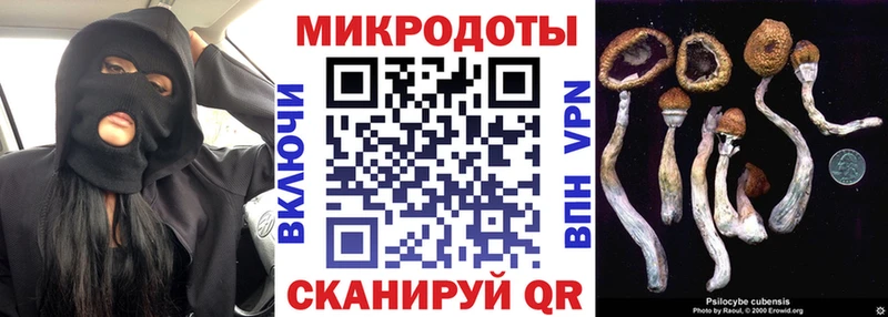 Псилоцибиновые грибы мухоморы  Купить  Суоярви 