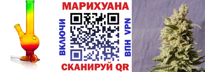 Бошки Шишки план  Купить где  Суоярви 